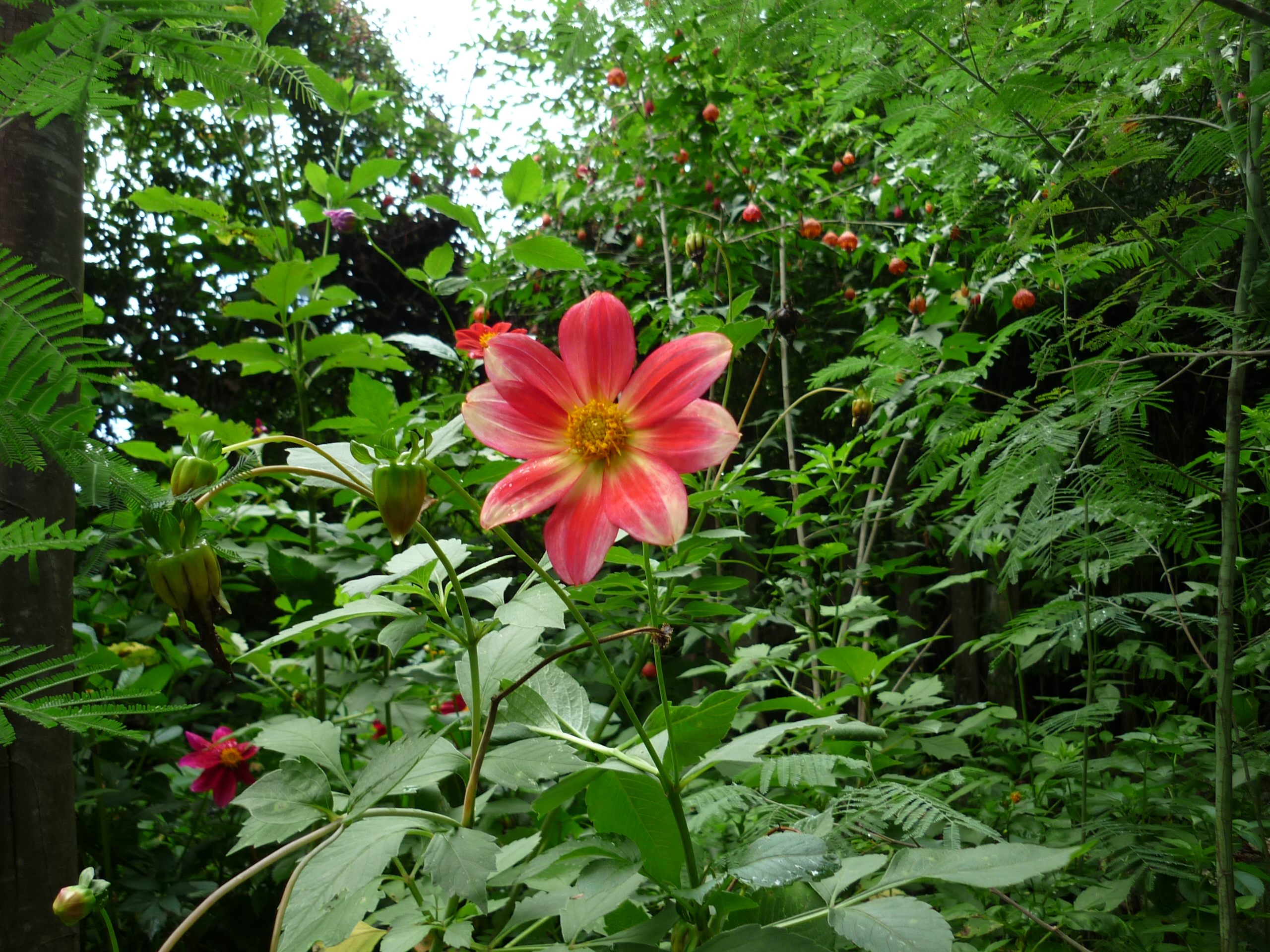 fotos/2011 - Los Reartes/P1010872.JPG